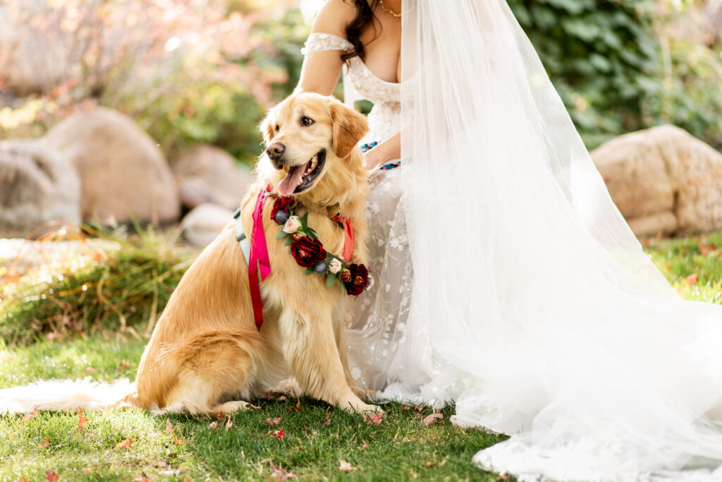 Colorado Wedding Photographer Colorado Wedding Photographer