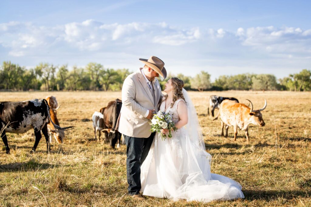 Bride and groom in wedding attire embrace in a sunny pasture surrounded by cows and grazing grasslands Colorado Wedding Photographer Colorado Wedding Photographer